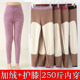女冬天 女200斤加肥加大加绒加厚护膝中老年秋裤 大码 胖妈妈保暖裤