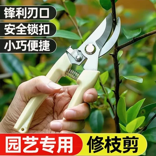 园艺刀剪专用花卉枝条绿植修形剪