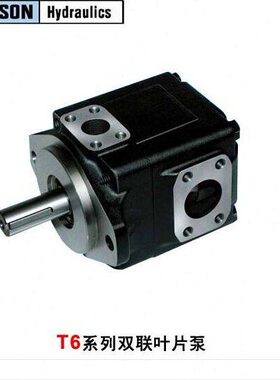 法国丹尼逊 T6DCM-B45-B05-3L00-C1 油泵T6CM-B05-3R00-C1