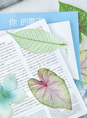 5张防水PET书签 万物序言植物蝴蝶图案学生手帐阅读书写标记卡片