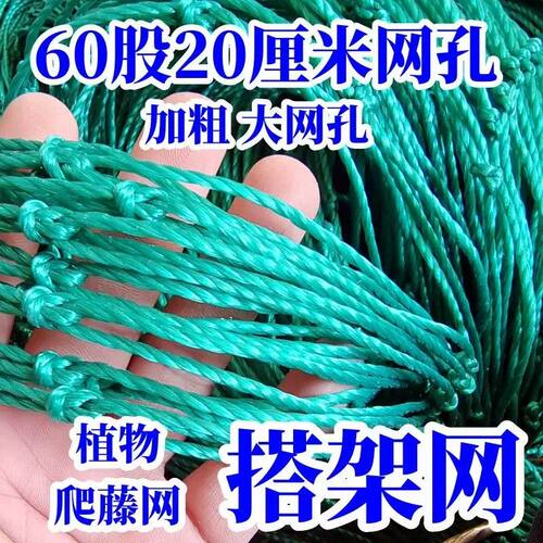 园艺家用植物爬藤网瓜网植物搭架网葡萄百香果黄瓜豆角丝瓜农用网