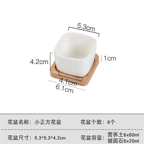 多肉植物迷你简约白色拇指小花盆带托盘控型创意肉组合陶瓷老桩盆