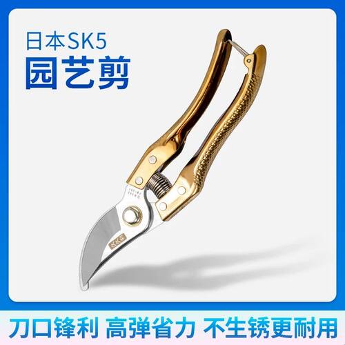 剪枝剪刀（送配件）园艺剪树枝修枝剪省力工具果树修剪粗细枝剪子
