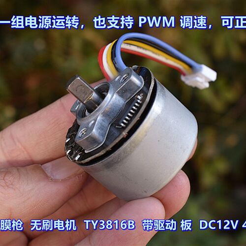 DC12V 膜筋枪无刷电机 TY3816B 微型 支持正反转 PWM 调速 马达