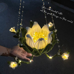 中国风扭扭棒材料包中式 手提扭扭棒手工花灯送情侣闺蜜创意礼物