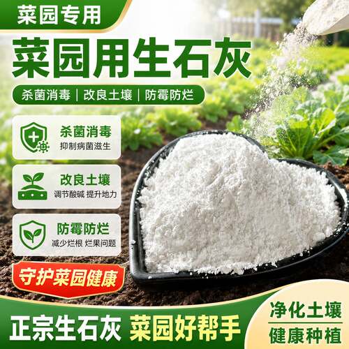 菜园用生石灰菜地撒完不生虫生石灰粉土壤杀菌消毒石灰改质土壤驱