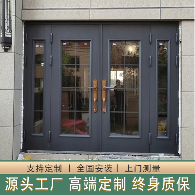 甲级农村自建房别墅大门