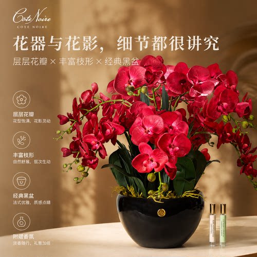 法国香氛花蝴蝶兰香薰摆件