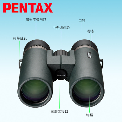 日本宾得PENTAX双筒望远镜SDED