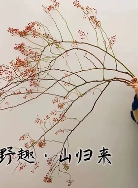 水培植物山归来蔷薇果鲜切插花好养南蛇藤干花花束复古轻奢风花卉
