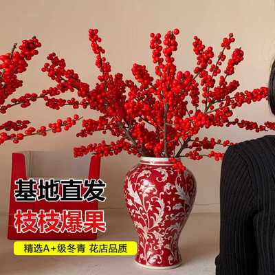 北美冬青红果真花水培鲜切
