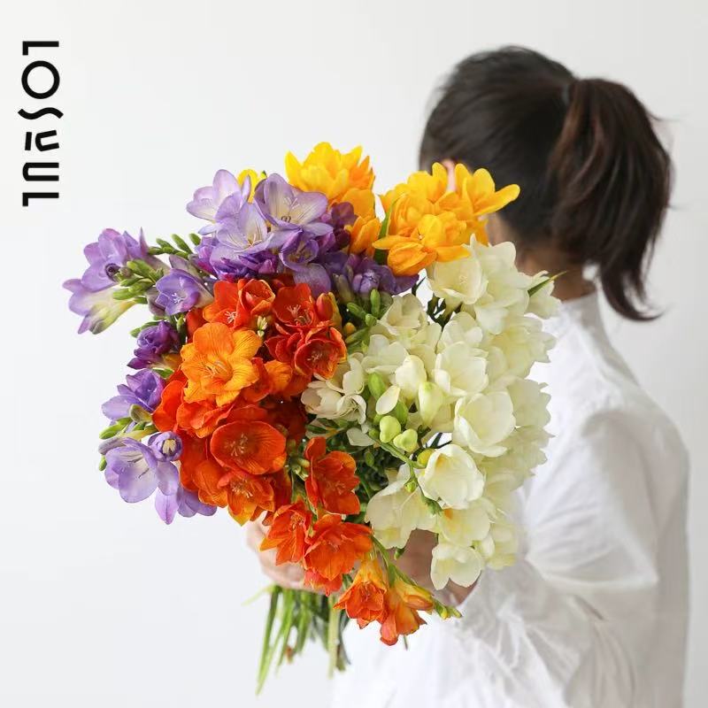 香雪兰鲜花云南基地直发室