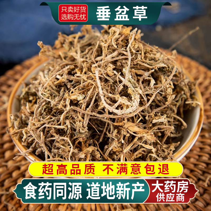 垂盆草中药材食用中草药500g
