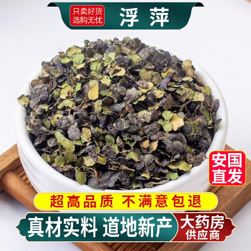 浮萍中药材正品紫背浮萍丸原料浮萍一味药泡茶水喝的功效荨寻麻疹
