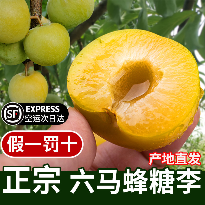 顺丰空运贵州镇宁六马蜂糖李新鲜现摘现发脱骨应季大李子孕妇水果
