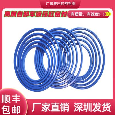 binotto油缸油封油缸密封圈