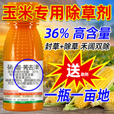 玉米苗后专用死草烂根剂安全型