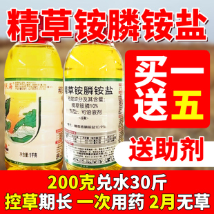 惊天海精草铵膦铵盐果园茶园荒地杂草一扫除草烂根剂精草胺磷农药