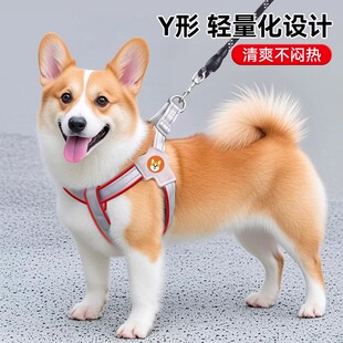 狗狗牵引绳背心式 宠物胸背带遛狗绳中小型柴犬柯基比熊泰迪狗链子