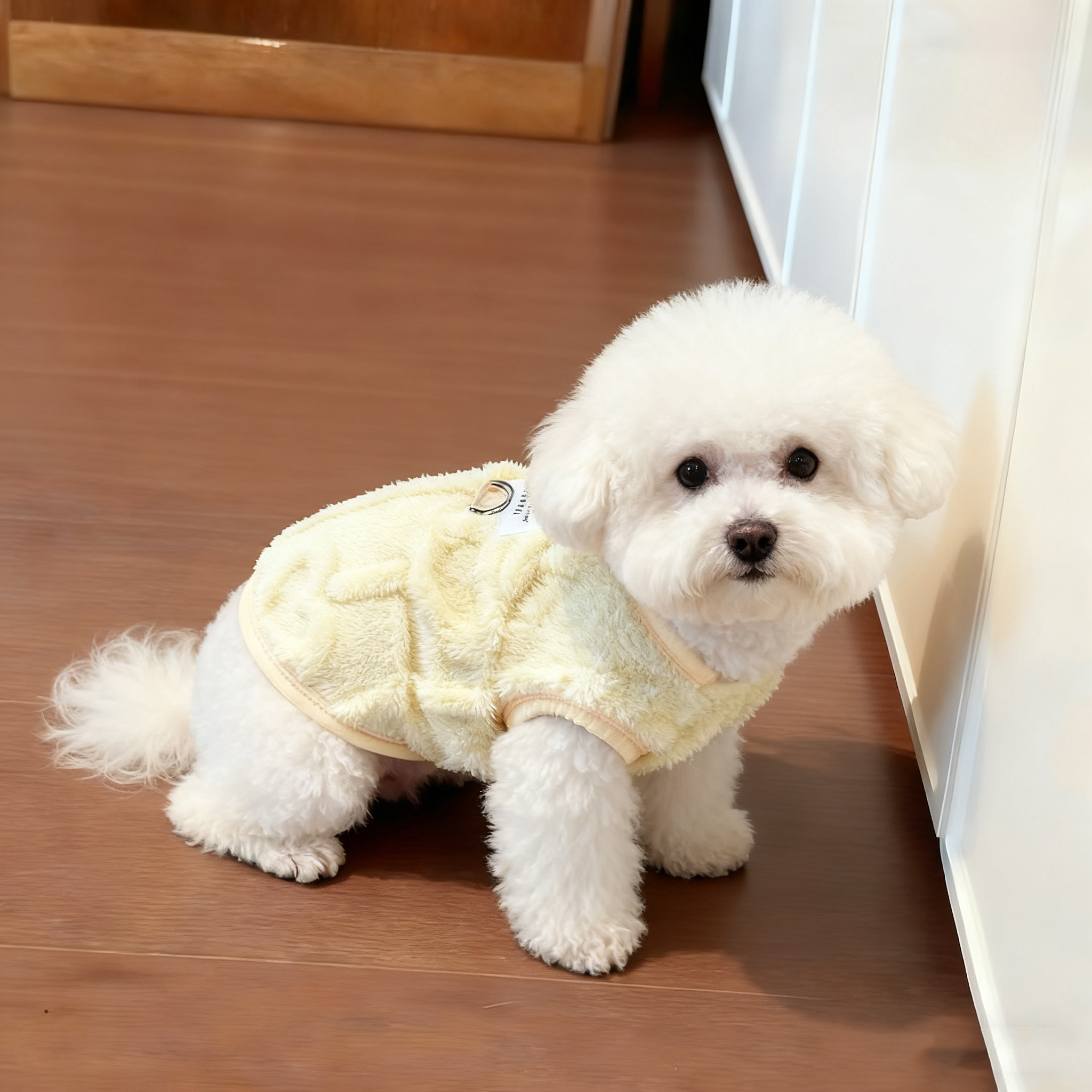 小奶狗短绒背心冬保暖防着凉可爱狗狗猫咪衣服防掉毛睡衣宠物马甲