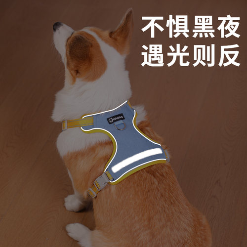 狗狗牵引绳背心式反光胸背带防挣脱外出遛狗专用绳狗狗宠物牵引绳