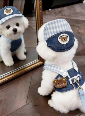 狗狗牵引绳胸背带牛仔衣服泰迪比熊小型犬夏季外出遛狗防挣脱透气