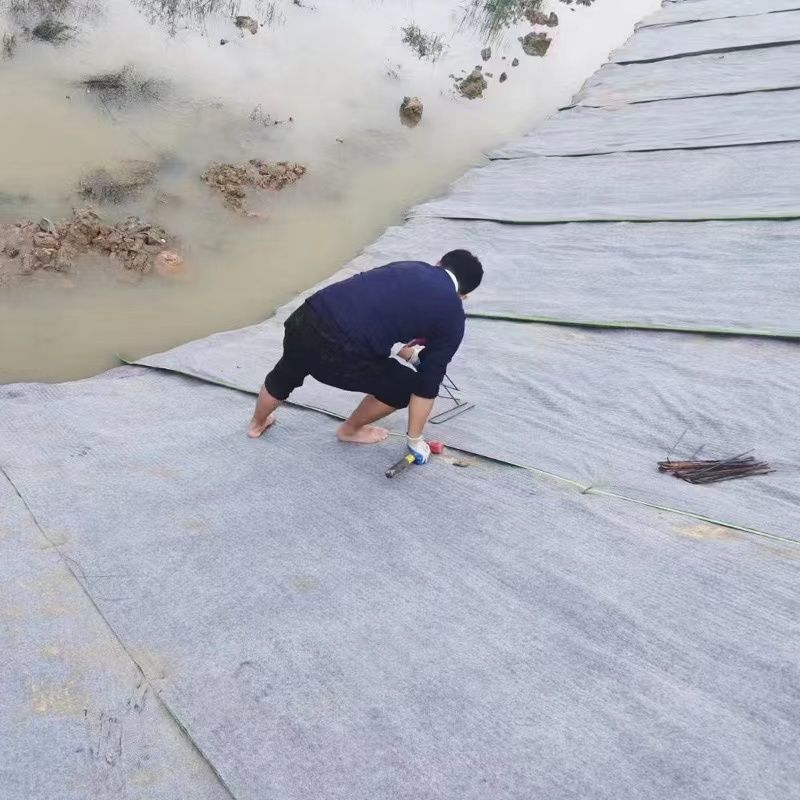水泥毯子新型浇水固化鱼