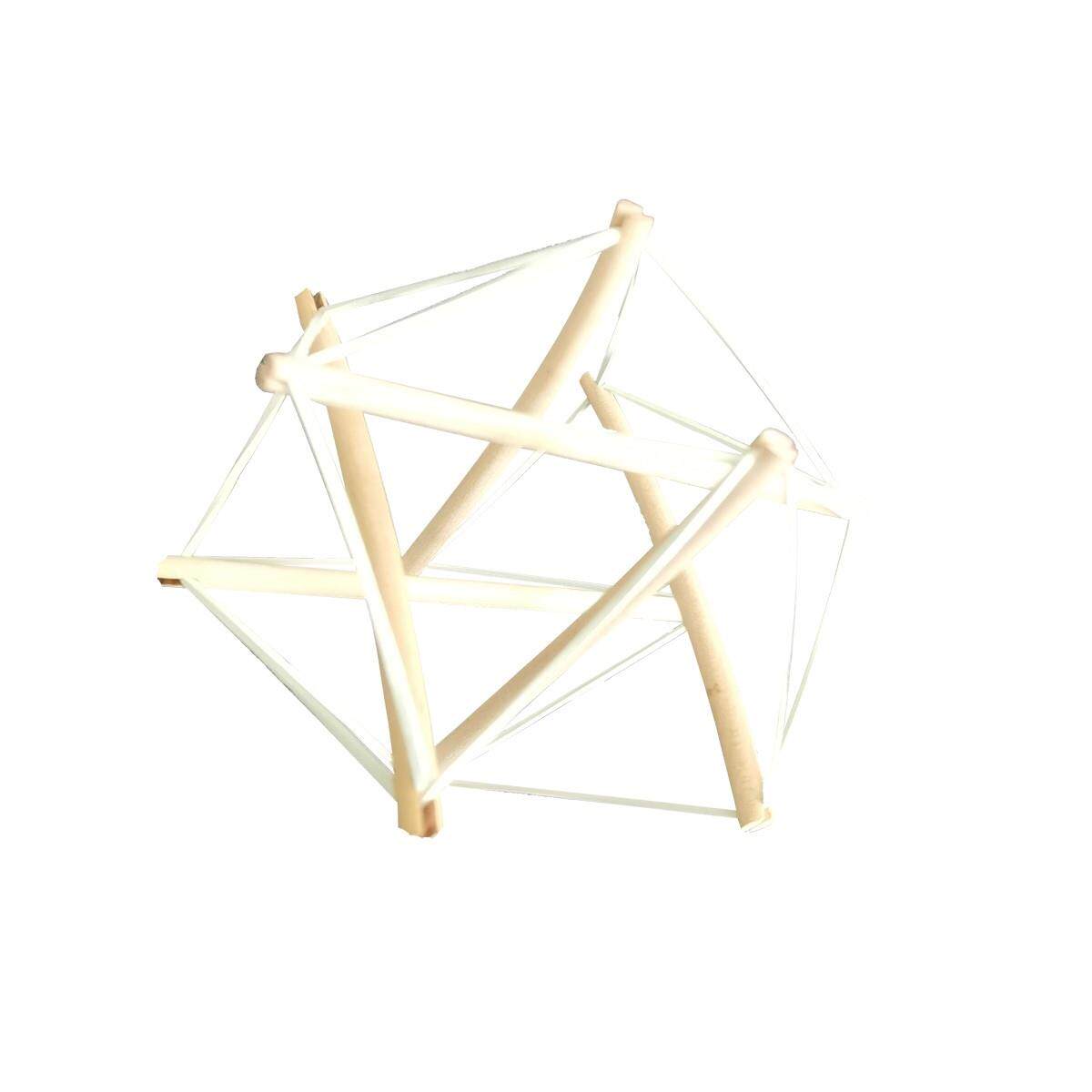 解剖列车张拉整体模型结构要素人体筋膜张拉教具演示动态实用康复