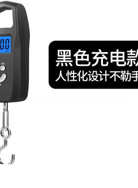 手提充电秤单个海鲜货物水果手持式称重秤电橱房勾小秤握电子称豪