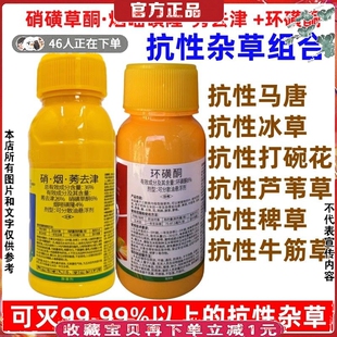 玉米苗后专用除草剂硝烟秀去津环磺酮打碗花喇叭花芦苇苞米杀草药