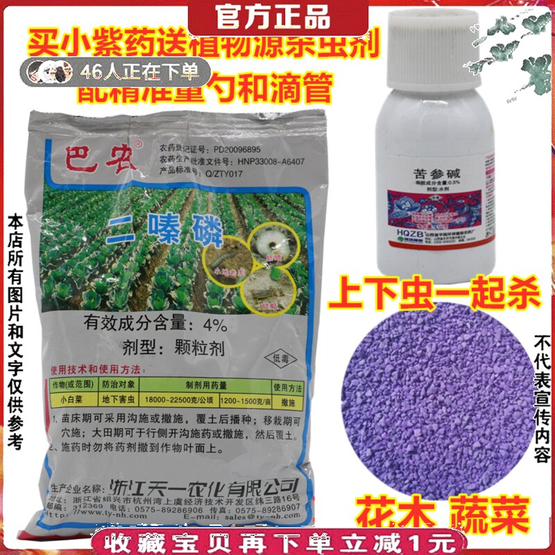 多肉小紫药二嗪磷蔬菜植物花卉等蝼蛄土蚕金针虫蛴螬地下虫杀虫剂