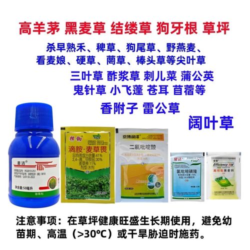 高羊茅结缕草狗牙根等草坪除草剂