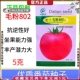 西红柿种籽孑蔬菜籽大田毛粉802薄皮番茄种子大果薄皮沙瓤西红柿