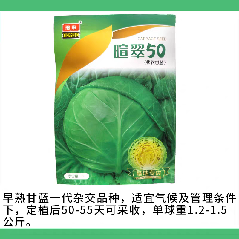 真绿5555甘蓝种子早熟抗病蔬菜种
