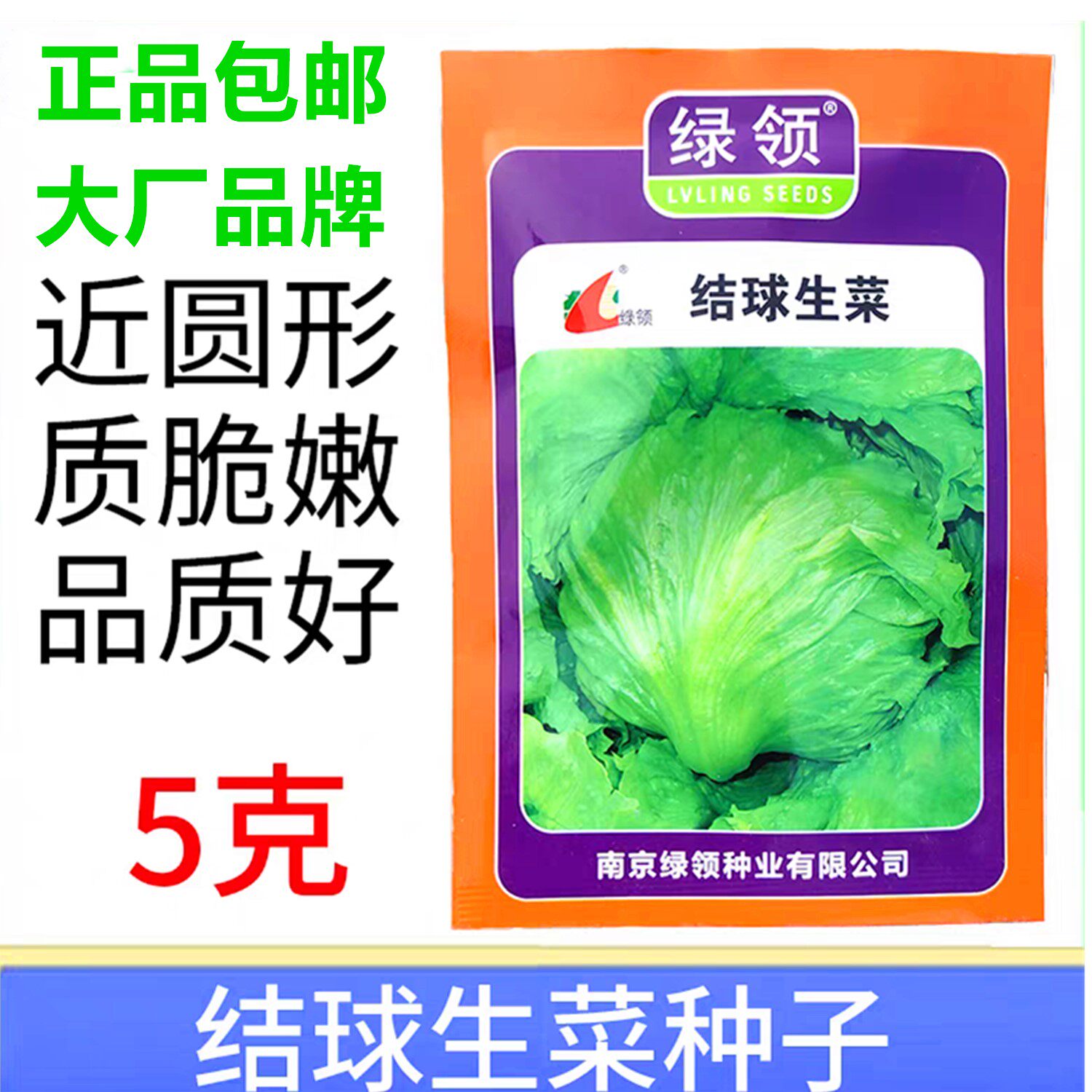绿领结球生菜种子早熟耐热速生籽