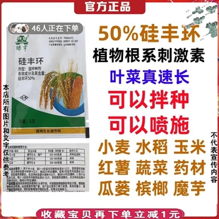 硅丰环生根剂增产蔬菜药材瓜蒌槟榔少掉果树小麦玉米水稻拌种药剂