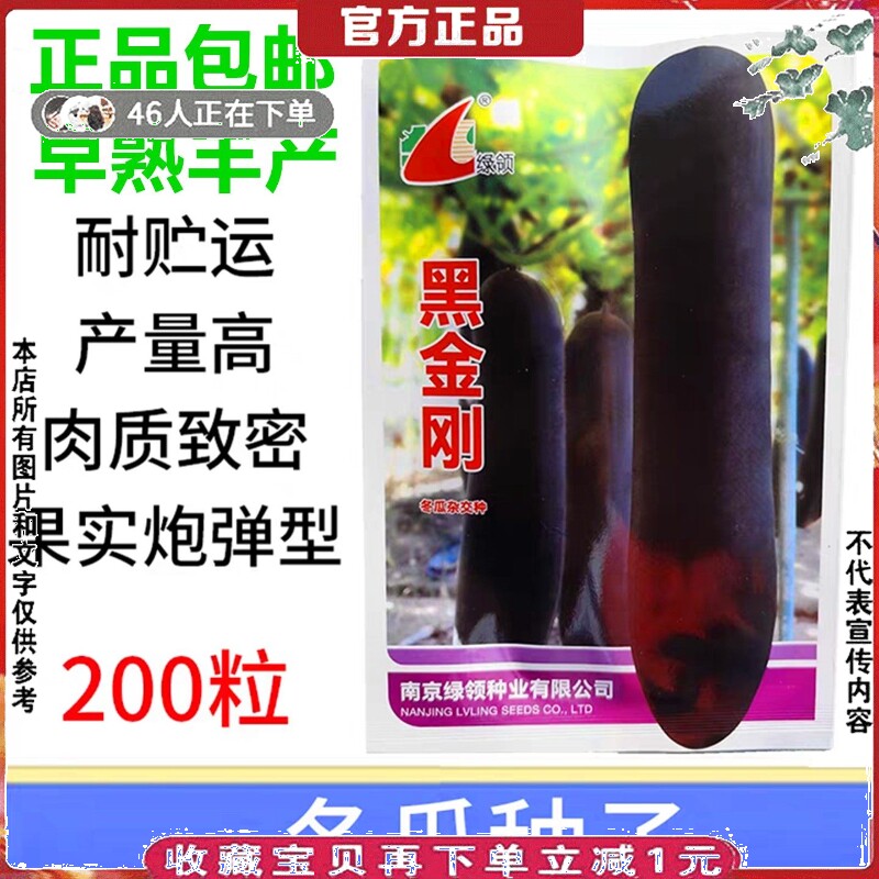 黑长条型冬瓜种籽黑金刚冬瓜种子蔬菜种子东瓜种孑200粒早熟丰产