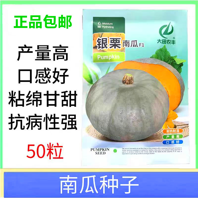 银栗早熟南瓜种子甜糯高产小南瓜