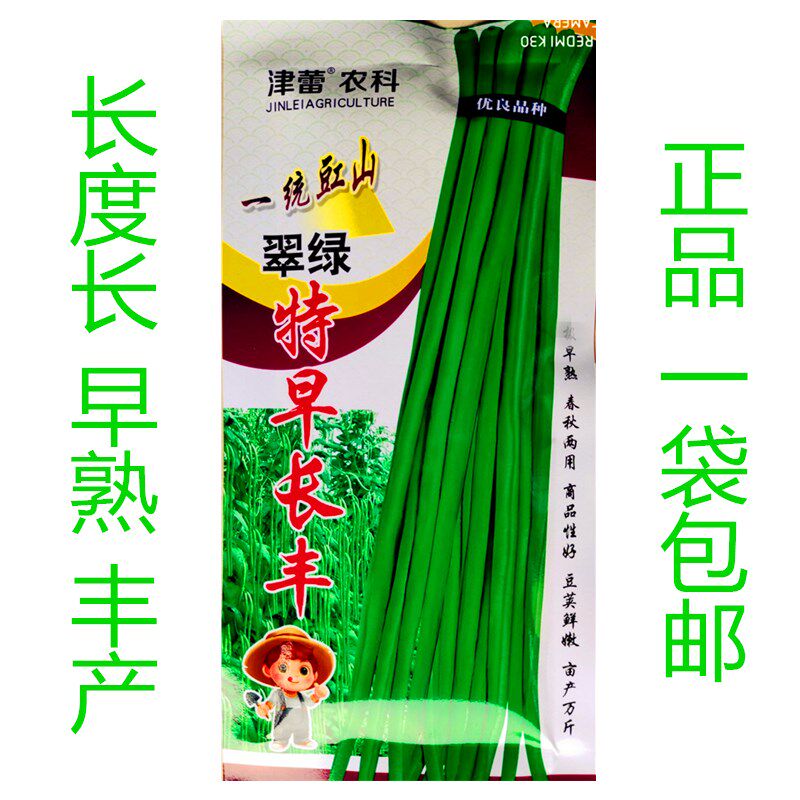 豆角种籽孑翠绿特早长丰青豇豇豆种子200g青绿色豆角种子蔬菜种子