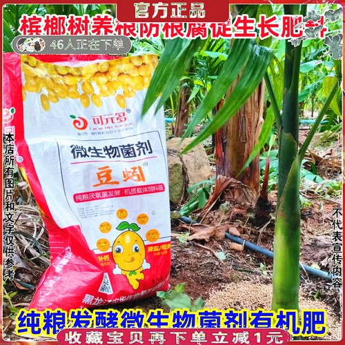 有机肥料果树槟榔养根微生物菌剂