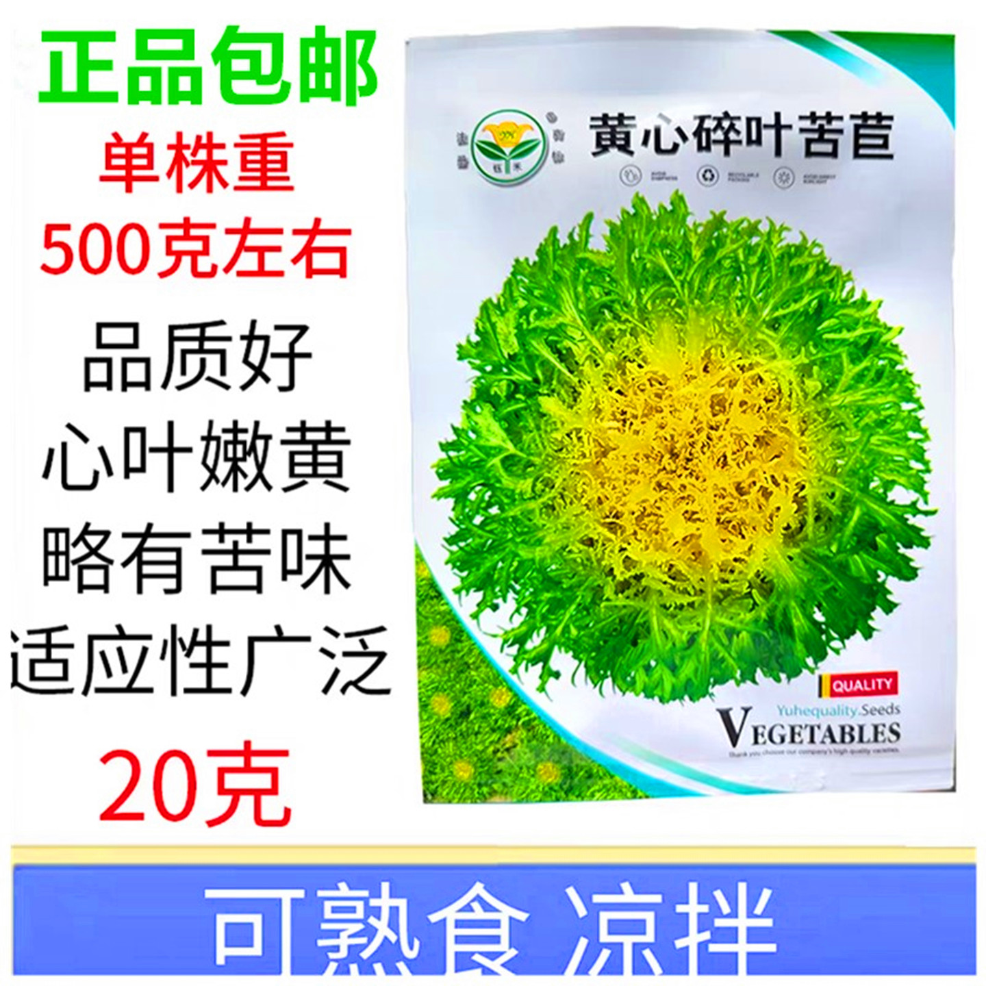 苦菊种子黄心碎叶苦苣籽心叶嫩黄