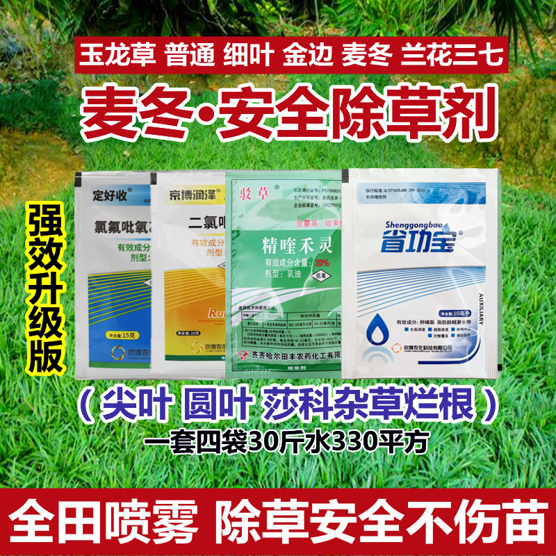 麦冬草坪除草剂玉龙草日本矮麦冬图片