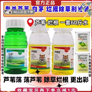 专杀芦苇茅草牛筋草小飞蓬爬藤阔叶草尖叶草烂根除草剂滴酸草甘膦