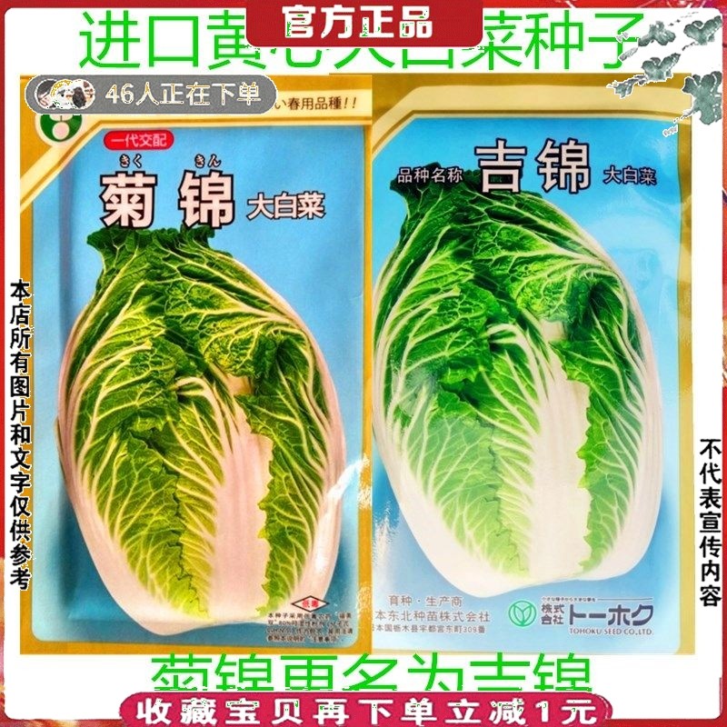 进口黄心大白菜种籽吉锦菊大白菜种子10g农播王春白菜耐低温抽薹,农用物资,蔬菜种子/种苗,淘宝优惠券,粉丝福利购,淘宝优惠卷