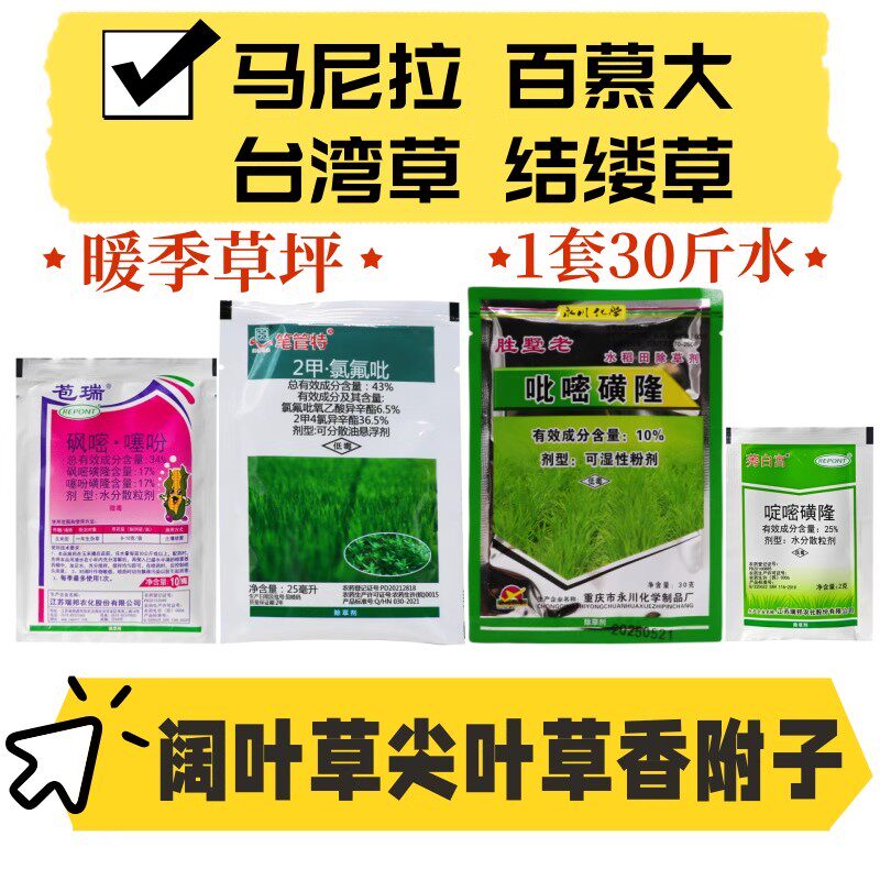 草坪专用除草剂禾阔双除马尼拉草