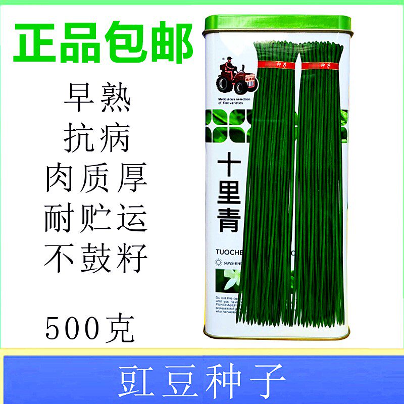 十里青豇豆种子蔬菜种籽豆角早熟