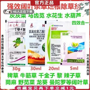 灰灰菜除草剂强效组合杀阔叶杂草牛筋草马齿苋水花生葫芦龙葵苋菜