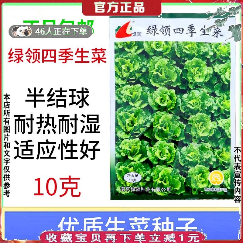 绿领四季生菜种籽抗病高产半结球蔬菜种子速生纤维少生菜种子10克,农用物资,蔬菜种子/种苗,淘宝优惠券,粉丝福利购,淘宝优惠卷