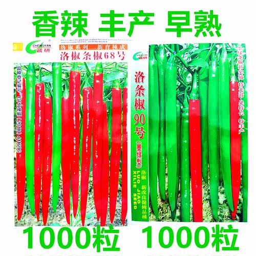 洛椒条椒种籽青辣椒种子香辣干鲜