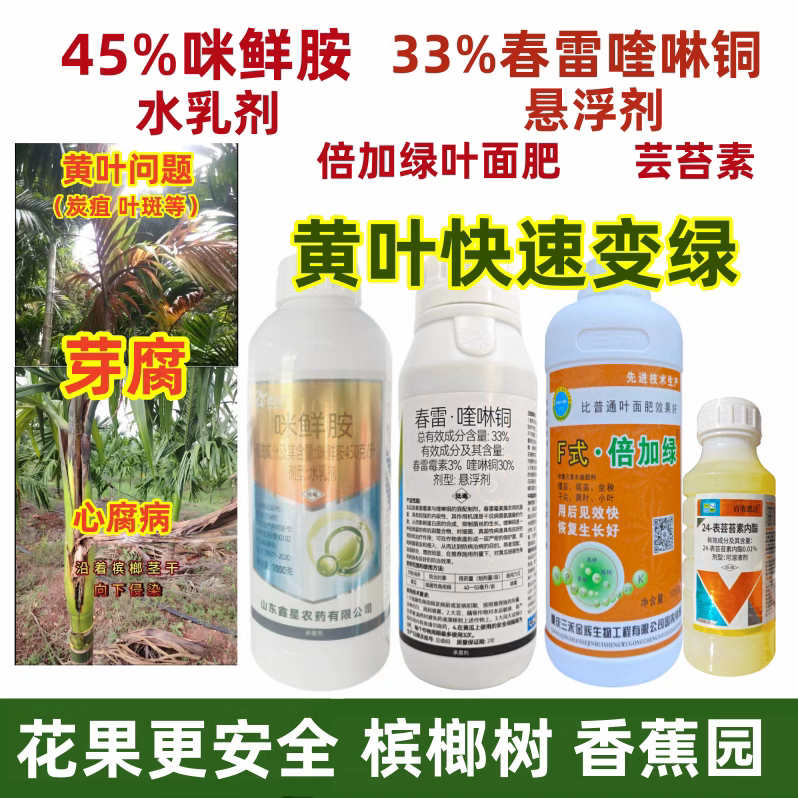 槟榔果树芽腐心腐烂心黄叶病杀菌